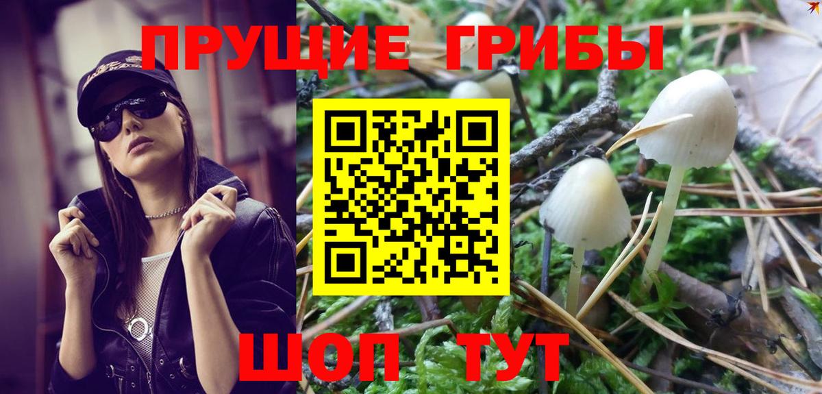 Галлюциногенные грибы Magic Shrooms  наркота  Вход с VPN  Губаха  Галлюциногенные грибы Psilocybe 